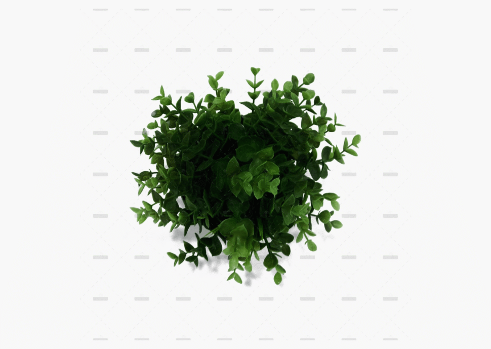 demo-attachment-667-nick-bitter-E6-kraJb7o4-unsplash-scaled